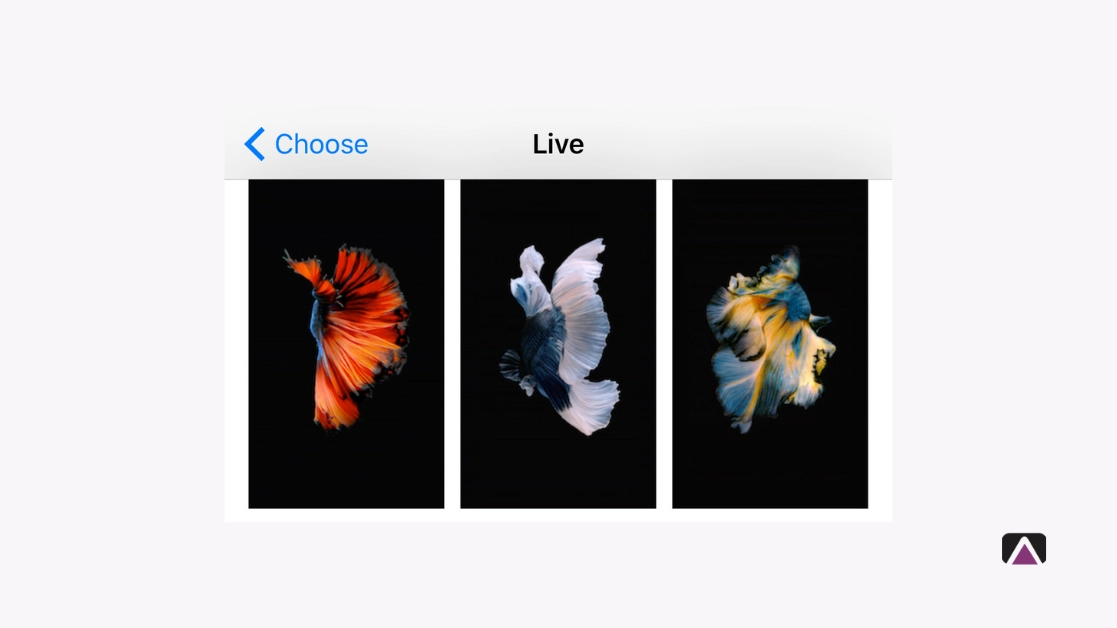 Live Wallpapers
